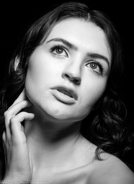 Model Society Galleries