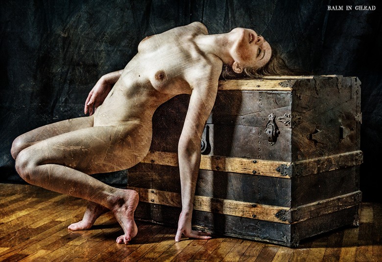 Lock me away never again Artistic Nude Photo by Photographer balm in Gilead