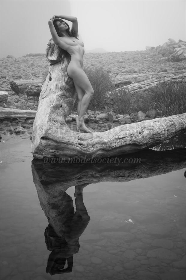 Log Artistic Nude Photo by Photographer Inge Johnsson