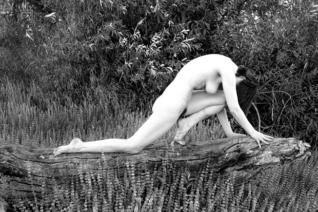 Log DaNCE Artistic Nude Photo by Photographer Joe Klune Fine Art
