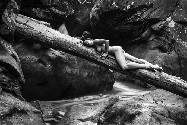 Log Lounge Artistic Nude Photo by Model Daisy Von