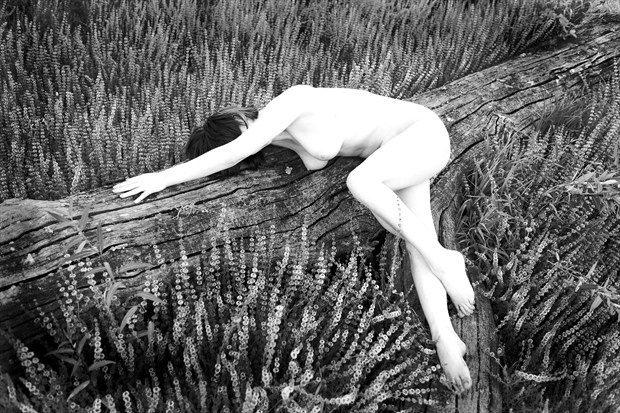 Log and flowers Artistic Nude Photo by Photographer Joe Klune Fine Art