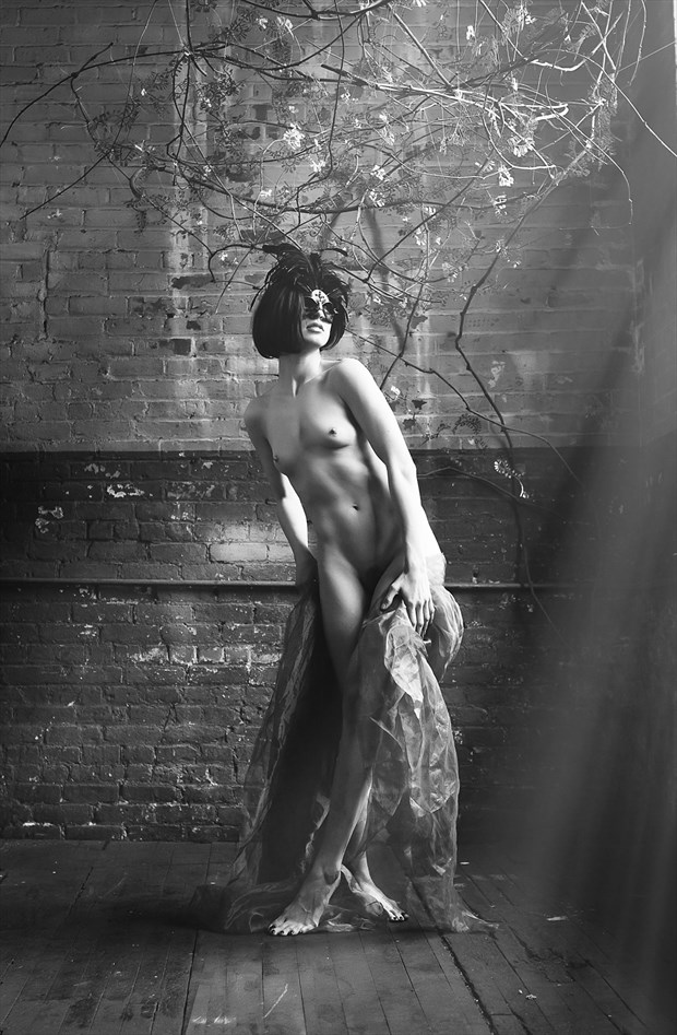 Lonely Masquerade Artistic Nude Artwork by Model Aristodeme