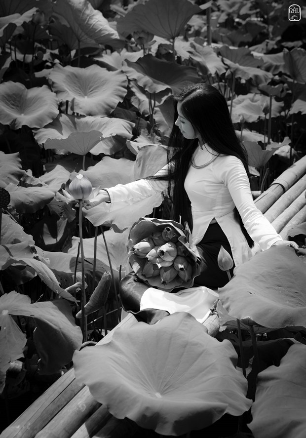 Lotus 2 Nature Artwork by Photographer Tu%E1%BA%A5n R%C3%A2u