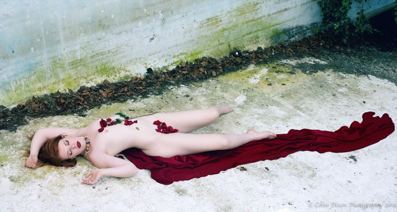 Love lies Bleeding Artistic Nude Artwork by Photographer Colin Dixon