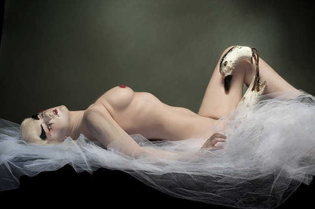 Loving Swan Artistic Nude Photo by Photographer Jon Hoadley