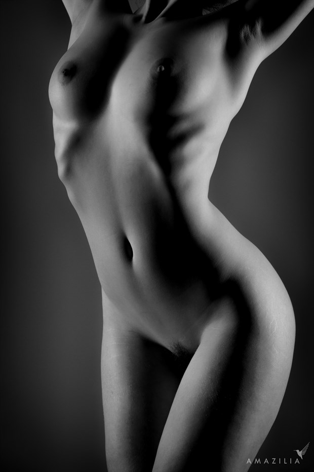 Low Key Bodyscape Artistic Nude Photo by Photographer Amazilia Photography