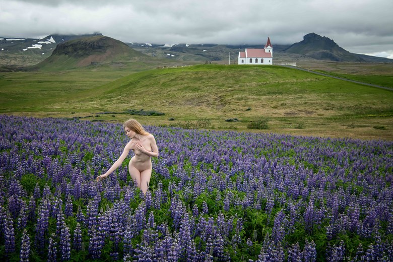 Lulu in the Lupine Artistic Nude Photo by Photographer Randall Hobbet