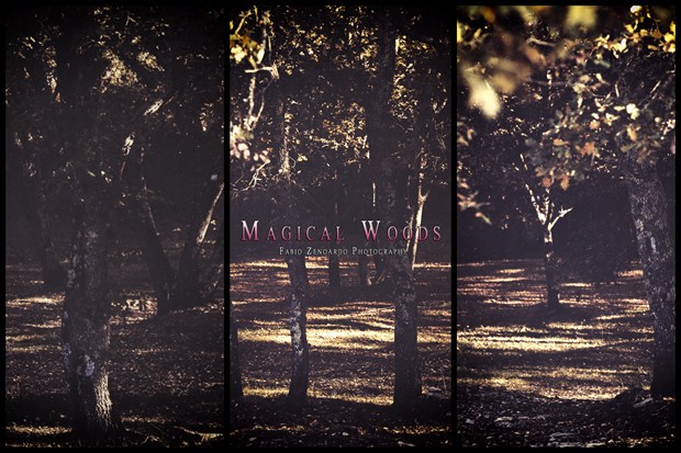 Magical Woods Surreal Artwork by Photographer Fabio Zenoardo Photography