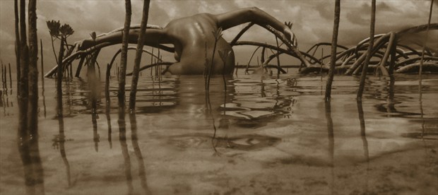 Mangroves Artistic Nude Photo by Photographer STORMselfportraitist