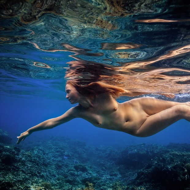 Marine blue Artistic Nude Photo by Photographer dml