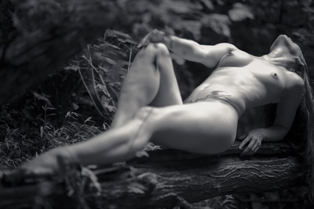 Mary Celeste on fallen log Artistic Nude Photo by Photographer hardrock