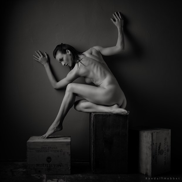 Mary I Artistic Nude Photo by Photographer Randall Hobbet