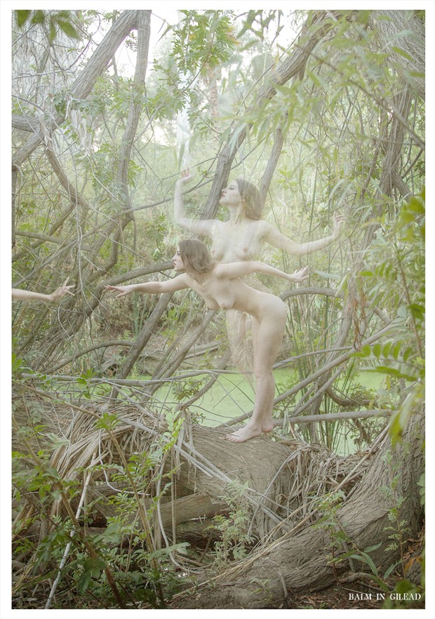 Master of destiny Artistic Nude Photo by Photographer balm in Gilead