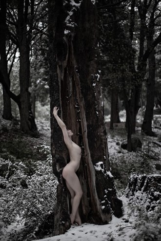 May Snow Artistic Nude Photo by Model Lavanya Maya