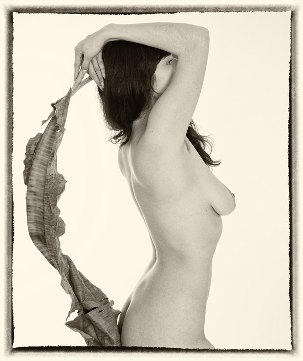 Maya's Leaf Artistic Nude Photo by Photographer lancepatrickimages