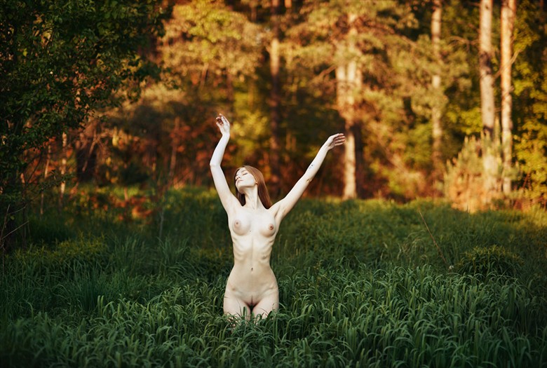 Melody of Nature Artistic Nude Photo by Photographer Pavel Ryzhenkov