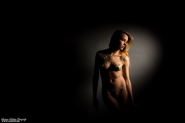 Membra carnium auri Artistic Nude Photo by Photographer Anders Nielsen