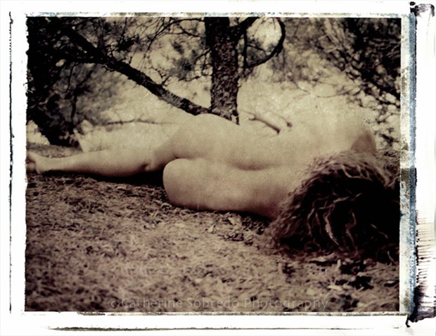 Merger Artistic Nude Photo by Photographer SoulShapes