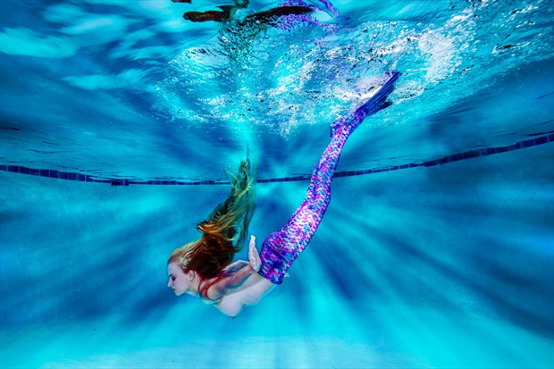 Mermaid Below Artistic Nude Photo by Photographer Al Fess