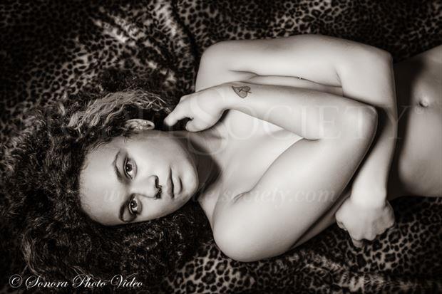 Miryam Artistic Nude Photo by Photographer SPV