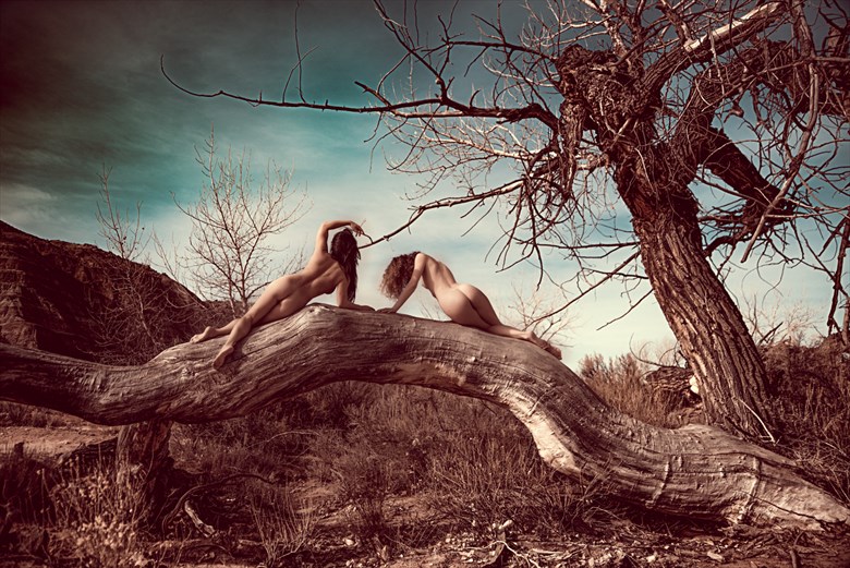 Moab Artistic Nude Photo by Model April A McKay