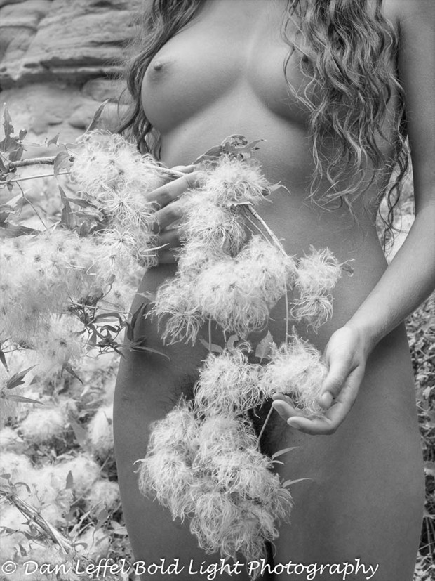 Monique and Cotton Artistic Nude Photo by Photographer Danlhsb