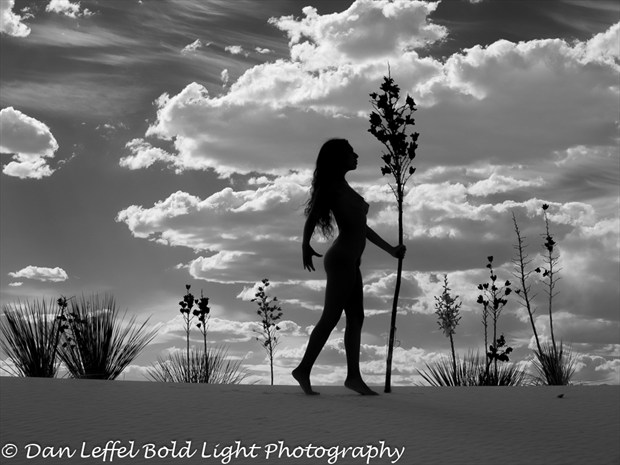 Monique at White Sands Artistic Nude Photo by Photographer Danlhsb