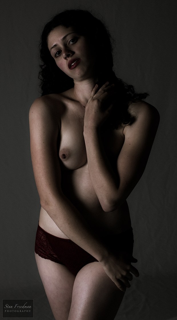 Moody Artistic Nude Photo by Photographer Stan Freedman