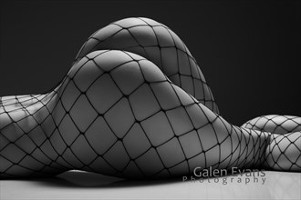 More Fun with Fishnet Artistic Nude Photo by Photographer Galen Evans