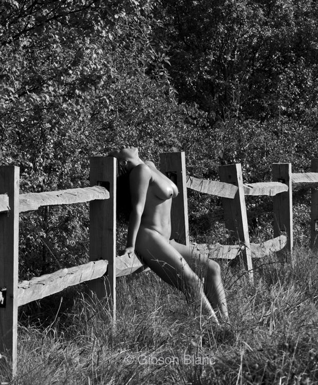 Mrs Jackson Artistic Nude Photo by Photographer Gibson