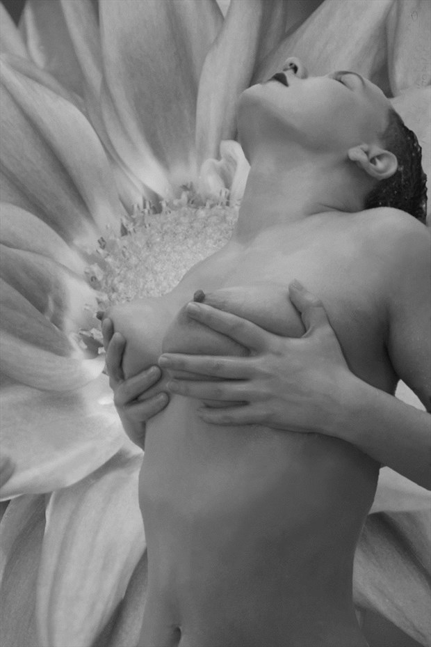 Mum Artistic Nude Photo by Photographer Randy Anagnostis