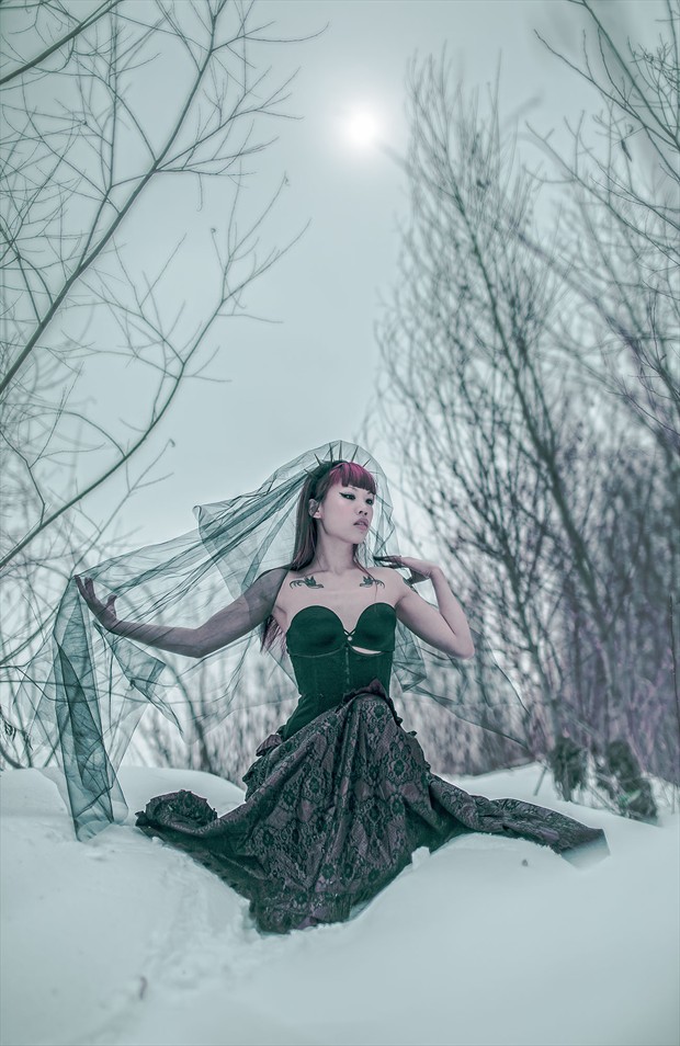 My Love is Winter Fantasy Photo by Photographer Northernism