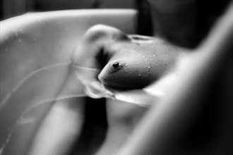 NUDE BATHROOM no 2 Artistic Nude Photo by Photographer Tribianni