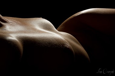 Nadia Bodyscape Artistic Nude Photo by Photographer LensConcepts