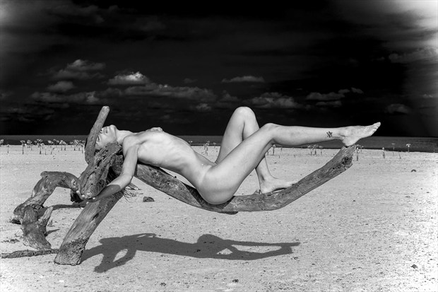 Natural  Artistic Nude Artwork by Photographer Daniel Baraggia