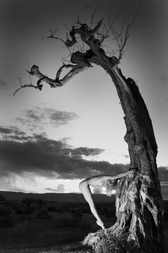 Natural trigonometry Artistic Nude Photo by Photographer John Evans