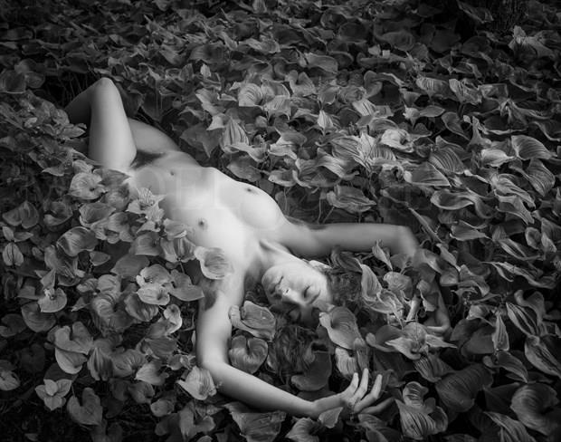 Nature's Bed Artistic Nude Photo by Photographer Inge Johnsson