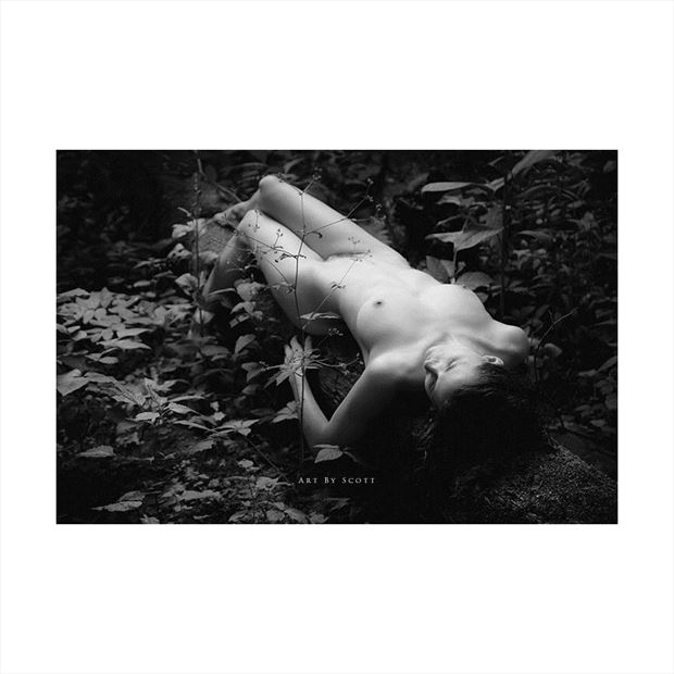 Nature Art Nude Artistic Nude Photo by Photographer ArtbyScott74