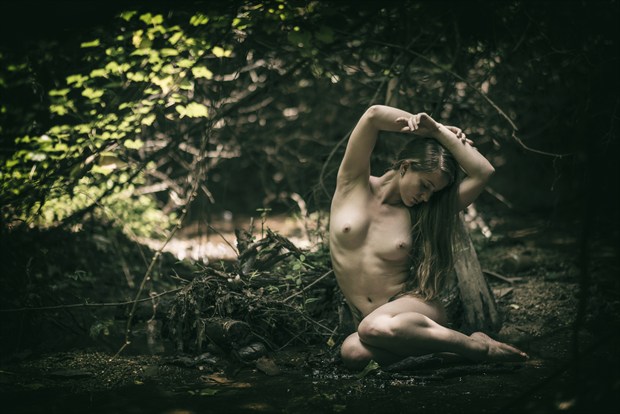 Nature Girl Artistic Nude Photo by Photographer hardrock