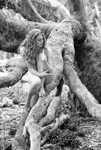 Nature Implied Nude Photo by Photographer Candidvision