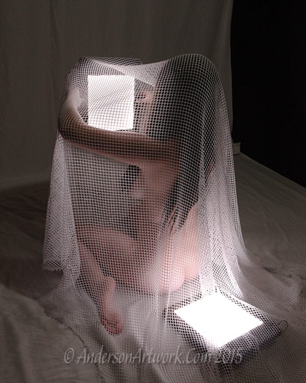 Netted Glamour Photo by Photographer R. Scott Anderson