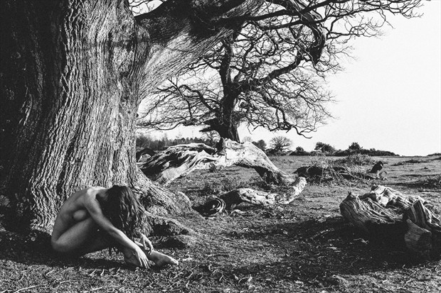 New Forest Artistic Nude Photo by Photographer DJR Images