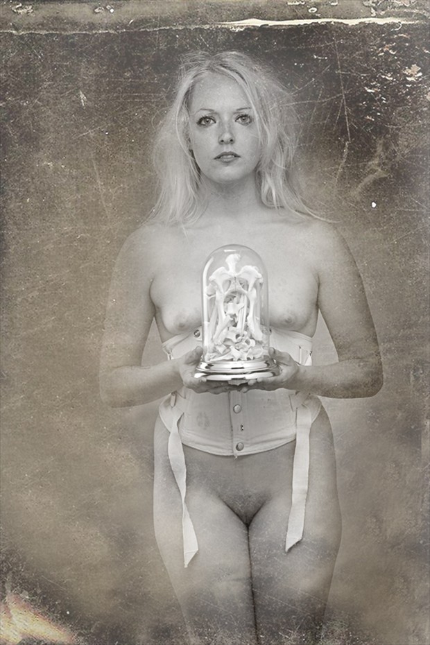 Nikki Artistic Nude Photo by Photographer Pat Berrett