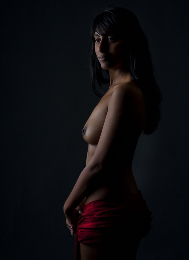 Nina Artistic Nude Photo by Photographer Andy G Williams