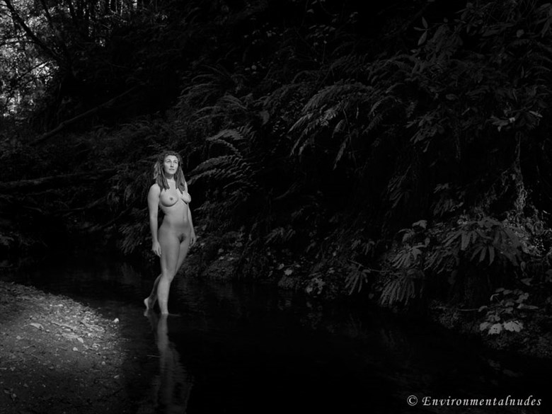 Nisene Forest 1 Artistic Nude Photo by Photographer Environmentalnudes