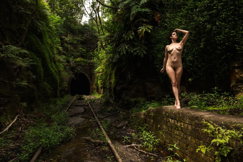 No Trains Artistic Nude Photo by Photographer Stephen Wong