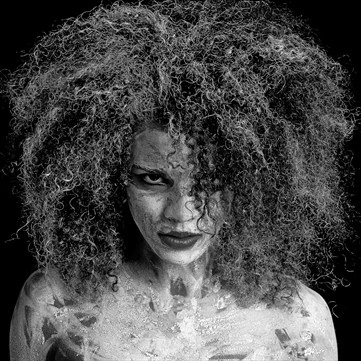 Model Society Galleries