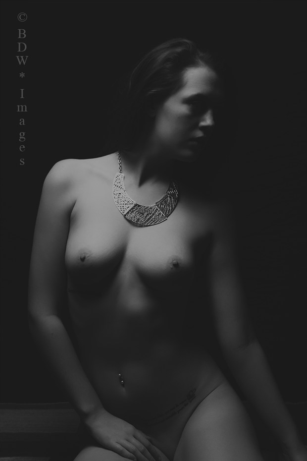 Noir Artistic Nude Artwork by Photographer BDW Images