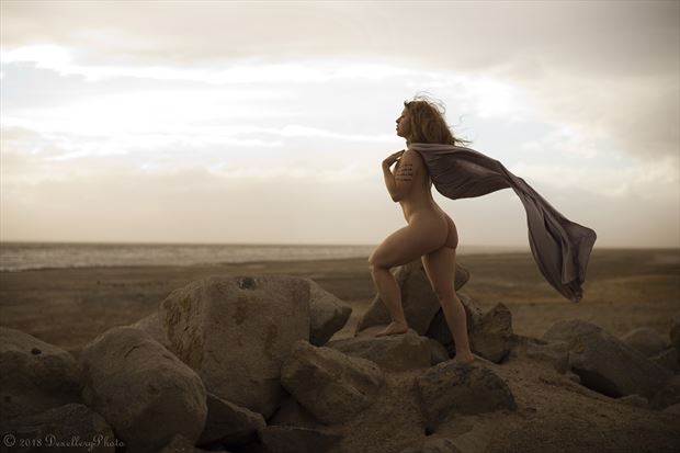November 2018 @ Salton Sea Artistic Nude Photo by Model Alexandra Vincent